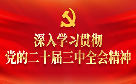 深入社区贯彻党的二十届三中全会精神
